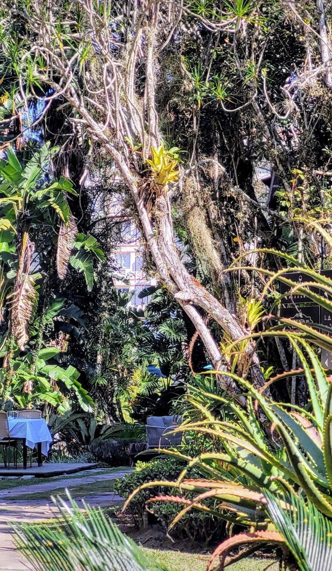 فندق Granja Brasil Puc 10 2 Itaipava المظهر الخارجي الصورة